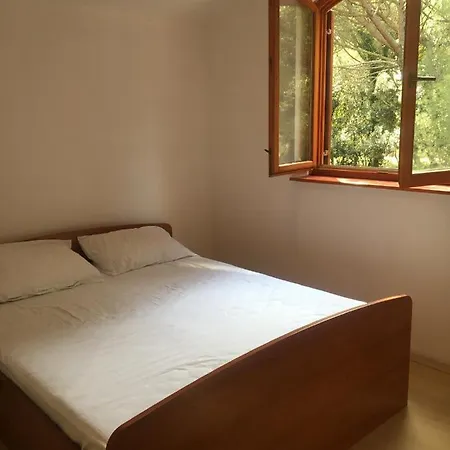 Apartment Apartman Biograd Biograd Na Moru